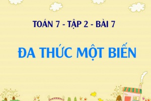 Đa thức một biến là gì? Cách sắp xếp, tính giá trị đa thức một biến và Bài tập - Toán 7 tập 2 bài 7
